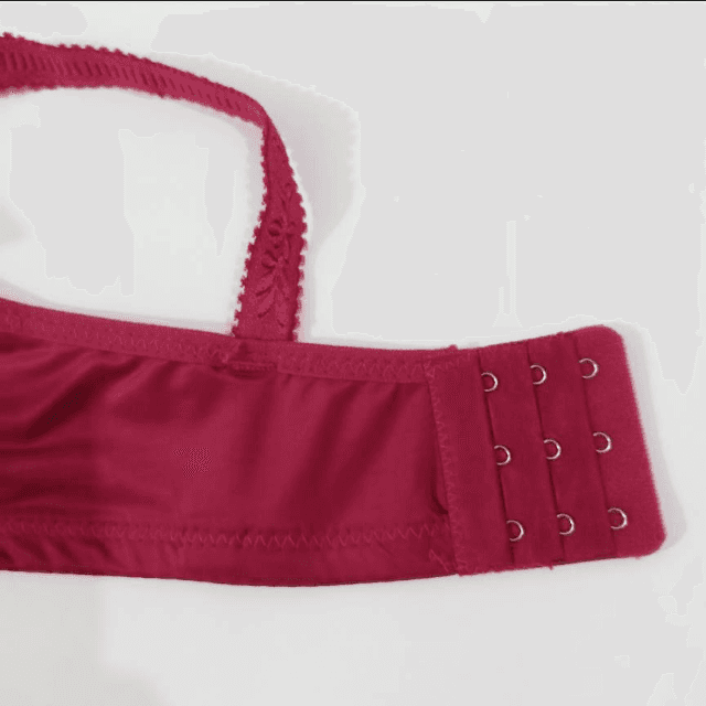 Mehroon Fancy Imported Bra