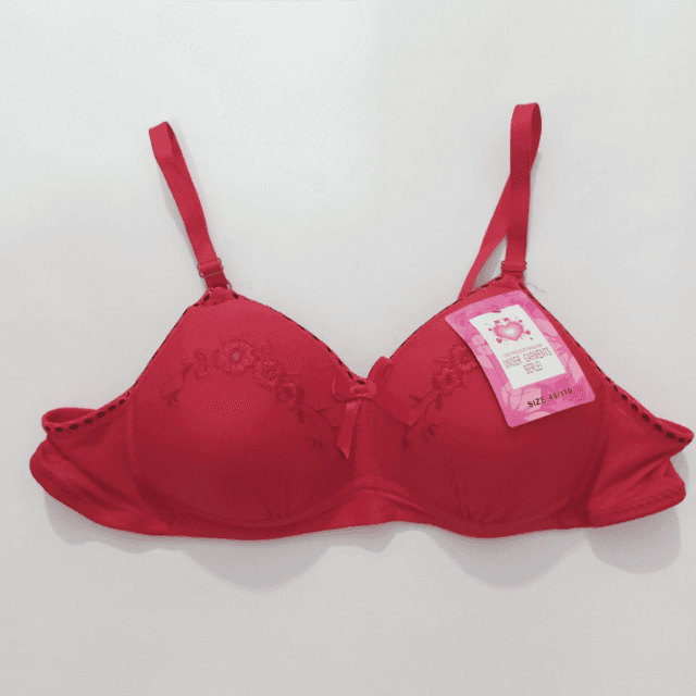 Red Bra (Imported)