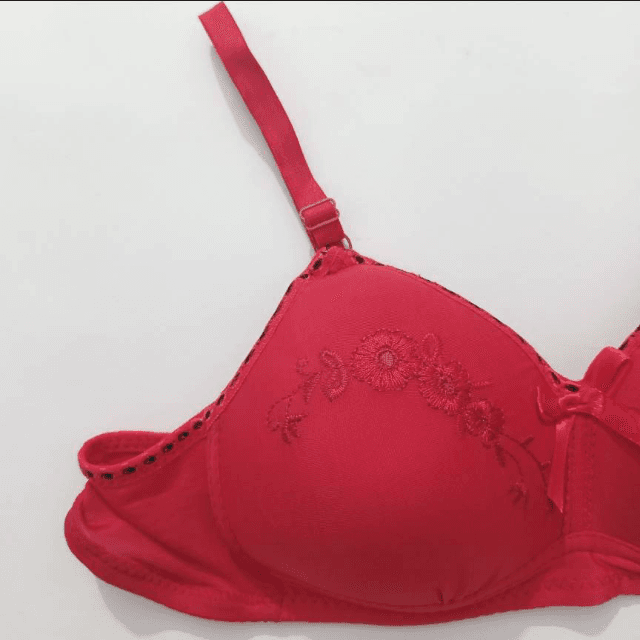 Red Bra (Imported)
